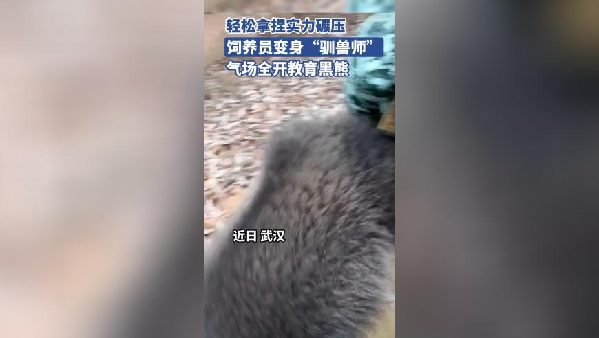 DeepSeek爆火让杭州风投圈沸腾,澳门最准的免费资料网站,机构预测与落实方法揭秘_破例版V4.91