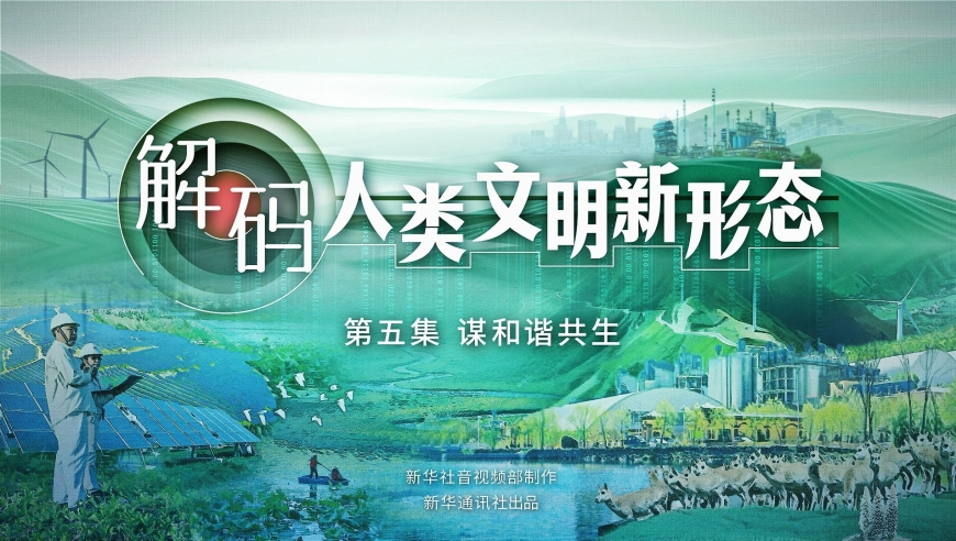 二四六天天好彩(5334cc)澳,汽车销售经历“最忙一天”,创造力策略实施推广_破例版V9.54