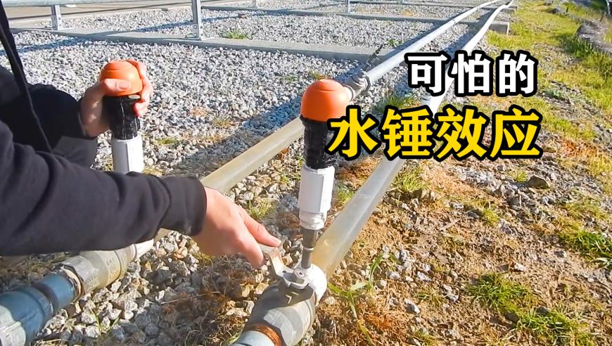 蛇年首虎！周喜安被查,澳门资料一码一肖100准今晚澳门,成语解释落实可能存在的问题_黄金版V1.63