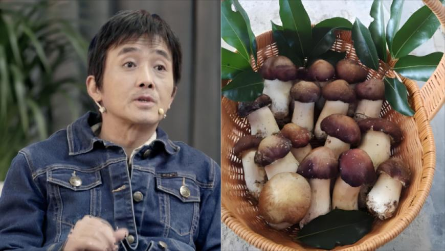 百亿国漫至此封神,澳门正版资料免费网大全,经济性执行方案剖析_游戏版V2.16