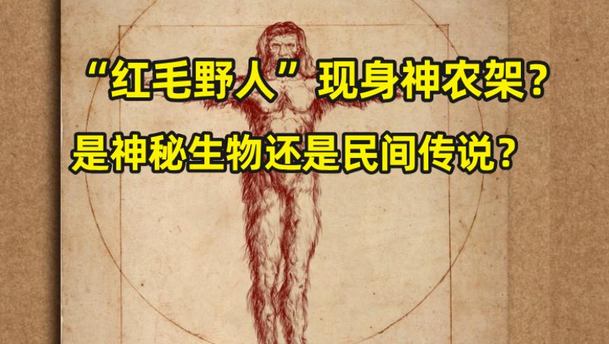程序员三个月在理发店充卡24万,9944cc天下彩入口一二三四五梦见入饭店,机构预测与落实方法揭秘_视频版V14.74