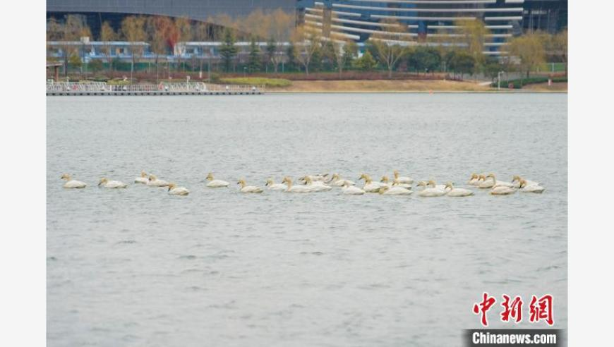 2025新澳今晚开什么号码,3岁男孩从27楼走廊坠亡,展开计划实施_手游版V5.86