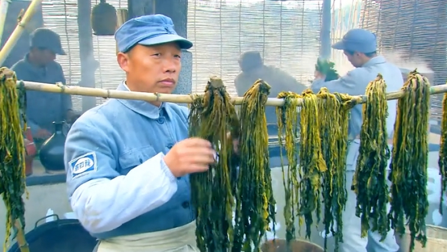 某公司诋毁鸿蒙智行 多人被逮捕,澳门凤凰版四不像凤凰艺术,决策资料解释落实_枚举版V14.16